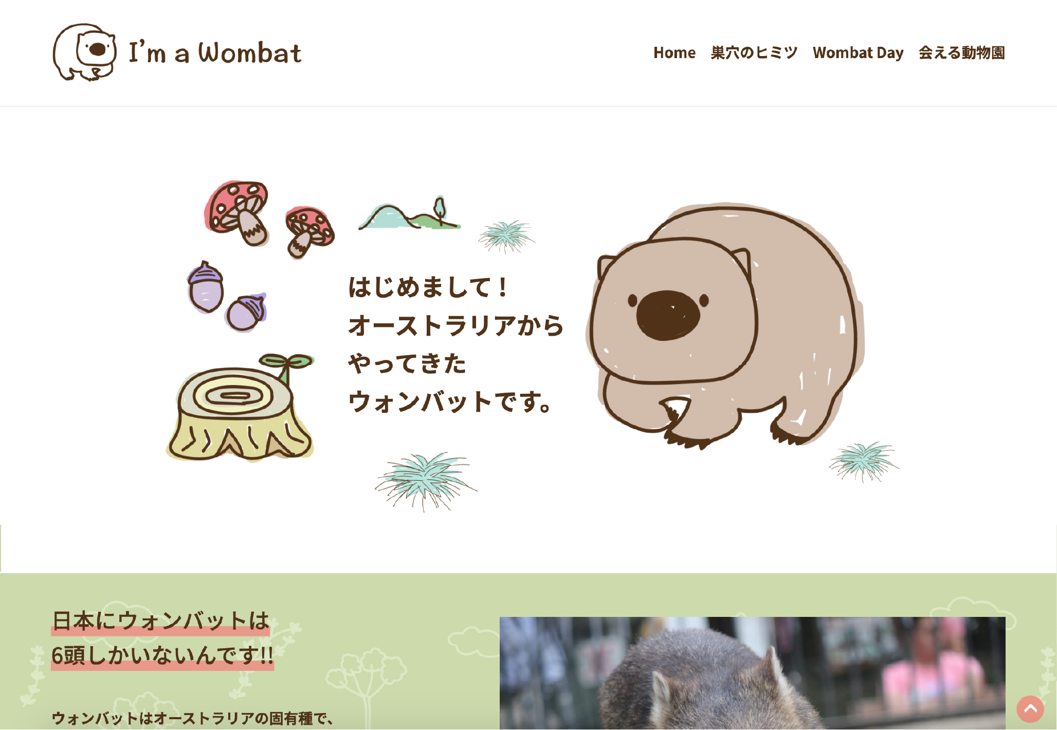 I M A Wombat プロジェクト Shibajuku